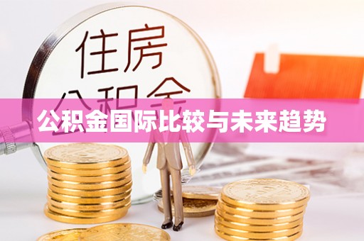 壮围公积金国际比较与未来趋势