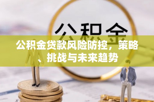 壮围公积金贷款风险防控，策略、挑战与未来趋势