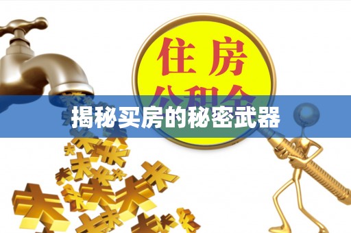 壮围揭秘买房的秘密武器