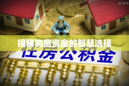 壮围揭秘购房资金的智慧选择