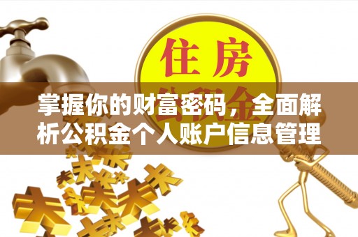 壮围掌握你的财富密码，全面解析公积金个人账户信息管理