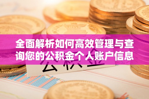 壮围全面解析如何高效管理与查询您的公积金个人账户信息