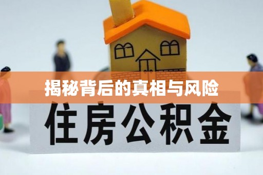 壮围揭秘背后的真相与风险