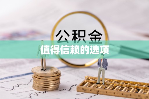 壮围值得信赖的选项